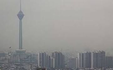کدام گروه خونی در برابر آلودگی هوا مقاوم‌تر است؟ 