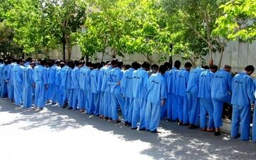 دستگیری ۷۷ سارق در گیلانغرب

