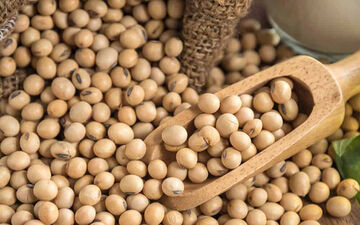 خواص سویا و ارتباط آن با گروه خونی