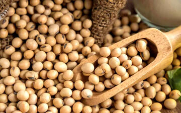 خواص سویا و ارتباط آن با گروه خونی