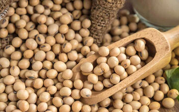 خواص سویا و ارتباط آن با گروه خونی