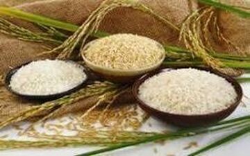  برنج ایرانی ارزان شد