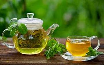 برای سلامت روده از این گیاه غافل نشوید!