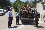 کشف و توقیف ۱۲۵۰ کیلوگرم چوب جنگلی قاچاق در ثلاث باباجانی