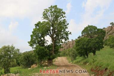 محسن عباسی‌فرد- ایرج الیاسی دالاهو