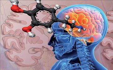 کنترل بیماری پارکینسونبا ورزش شدید