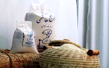 توصیه جنجالی صداوسیما؛ به‌جای برنج، جو مصرف کنید + ویدئو