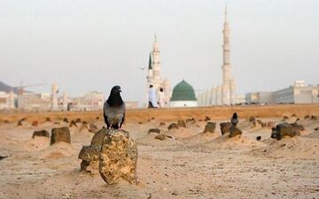 زیارت بقیع در آخرین روز حضور حجاج ایرانی در مدینه +فیلم 