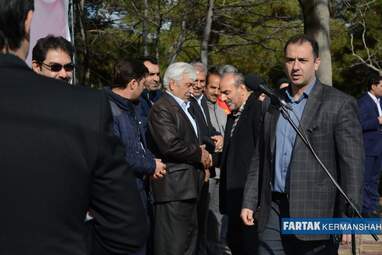 امیر دولتشاهی