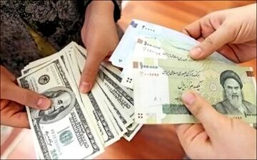 ۱۰۰۰۰ شرکت، ارز دولتی گرفتند!