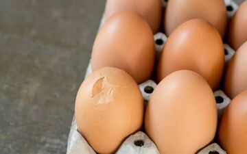 آیا خوردن تخم‌مرغ ترک‌خورده مضر است؟