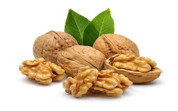 بعد از خوردن گردو این خواص نصیب بدن تان می شود