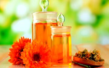 گیاهی که در یک چشم به هم زدن سرما خوردگیتان را خوب می کند