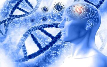  پیشگیری از ابتلا به آلزایمر با این سه کار ساده