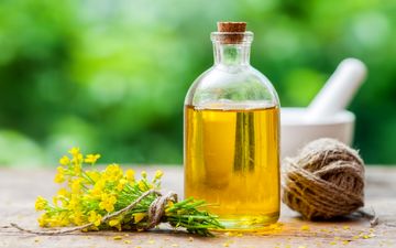 فواید روغن کانولا برای سلامت