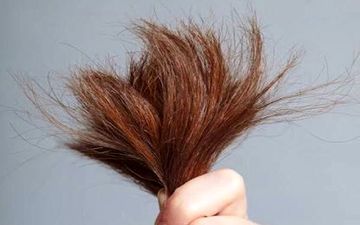 موخوره چیست و چگونه به وجود می آید ؟
