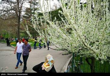 روز طبیعت در پارک ملت تهران + تصاویر