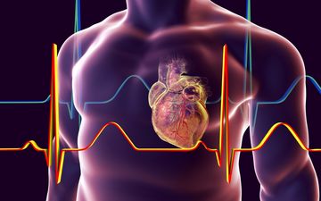 دلایل و علائم بزرگ شدن قلب | این 3 عامل موجب بزرگ شدن قلب می‌شوند