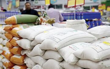 آغاز ثبت سفارش برای واردات برنج از ۲۴ شهریور