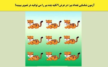 5 ثانیه وقت داری تعداد ببرهای تصویر رو شناسایی کنی! + پاسخ