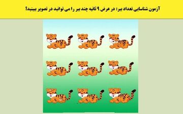 5 ثانیه وقت داری تعداد ببرهای تصویر رو شناسایی کنی! + پاسخ