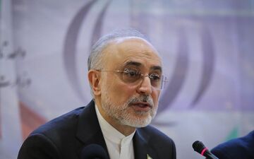 صالحی: وظیفه داریم از مظلوم دفاع کنیم
