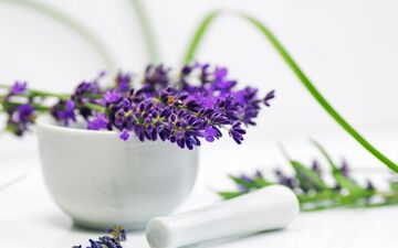 با این گیاهان هورمون های خود را تنظیم کنید