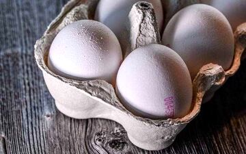 واردات تخم مرغ ترکیه‌ای در آینده نزدیک