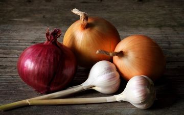 این افراد نباید سیر و پیاز بخورند