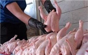 آشفتگی عرضه مرغ در آستانه روز طبیعت+قیمت