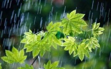 
جمعه 22 شهریور/پیش بینی بارش پراکنده در مازندران
