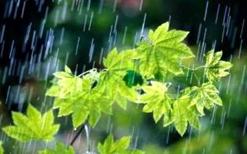 
جمعه 22 شهریور/پیش بینی بارش پراکنده در مازندران
