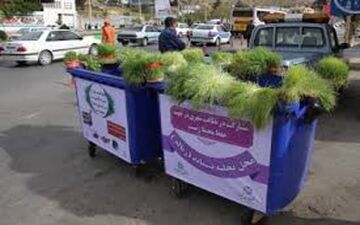 جهت حفاظت از محیط زیست/سبزه های عید نوروز در سطح شهر کرمانشاه جمع آوری می شوند
