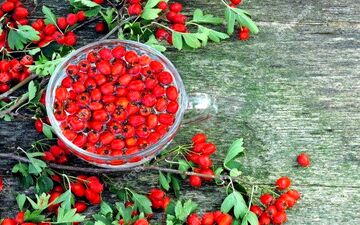
درمان فوری عفونت ریه با این میوه 