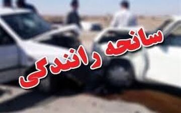 ۱ کشته و ۱۹ زخمی در واژگونی وانت حامل افاغنه غیر مجاز در محور کرمان _بم