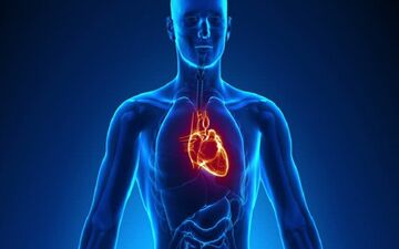 ۵ راز عجیب درباره بدن انسان