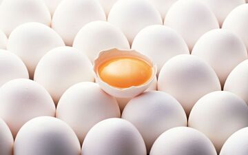 تغییرات قیمت تخم مرغ 