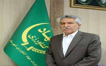آغاز برداشت کلـزا در شهرستان کرمانشاه