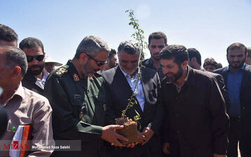 کاشت 4000 هزار هکتار نهال برای مبارزه با ریزگردها - خوزستان + تصاویر