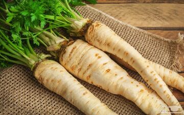 گیاهی برای کنترل دیابت