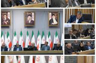 تشکیل شورای راهبری بازرگانی در پتروشیمی خلیج‌فارس برای بهبود سیاست‌گذاری