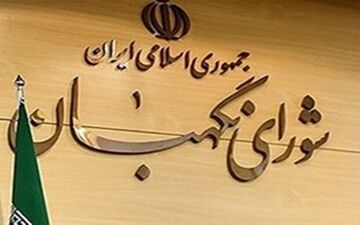 شورای نگهبان با سوءاستفاده در بررسی صلاحیت داوطلبان برخورد می‌کند
