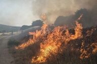 گسترش آتش‌سوزی در منطقه‌ حفاظت‌شده‌ بمو