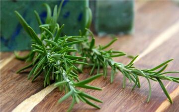 این سبزی معطر ضد سرطان است