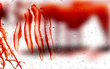 حادثه ای وحشتناک که 47 نفر از جمله عروس و داماد را به کام مرگ کشاند!