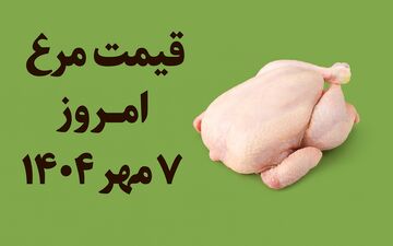 قیمت مرغ امروز ۷ مهر ۱۴۰۴ | نرخ روز انواع مرغ در بازار