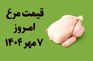 قیمت مرغ امروز ۷ مهر ۱۴۰۴ | نرخ روز انواع مرغ در بازار