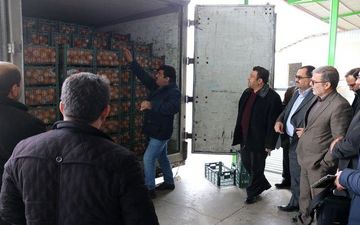 اولین محموله پرتقال تنظیم بازارشب عید وارد سردخانه های استان شد