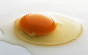 زرده تخم مرغ بخوریم یا سفیده؟! 