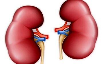  از دلایل تا پیشگیری بی‌اختیاری ادرار